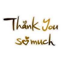 와우파티코리아 2020 금박 레터링 투명스티커(Thank you so much), 1개