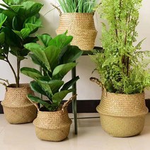 아워리빙 부들풀 너트 라탄 화분바구니, 물받침대-27호