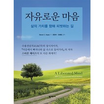 자유로운 마음:삶의 가치를 향해 피벗하는 길, Steven C. Hayes 저/문현미,민혜원 공역, 학지사