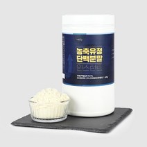 두손애약초 농축 유청 단백분말 인스턴트, 1개, 600g
