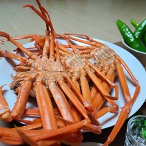 당일조업 구룡포 고품질 명품 자숙 찜 홍게 10마리 무료찜 산지직송, 고급홍게300g 10마리