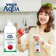 베지아쿠아 리필용 1000ml x 1병/과일 야채 세정제, 베지아쿠아 리필용 1000ml x 1병