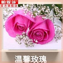 비상금금고 비밀공간 금전함 가정용 돈통 세이프박스 스마트 지폐 현금보관 미니, 14 + 50×40(수용폭 40×높이 30)