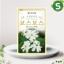 솔림텃밭몰 백색 코스모스씨앗 100립 코스모스 꽃씨앗 꽃씨, 단품