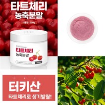 멜라토닌 타트 체리 파우더 터기산 가루 사워체리 분말(스푼포함), 타트체리농축분말 250g 1병