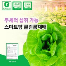 무농약 친환경인증 국내산 스마트팜 수경재배 유기농 유럽샐러드 채소 버터헤드레터스 500g, 1개