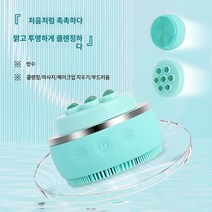 미용 기구 전동미용기기 마사지 세안 가정용 미용, 녹색