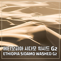 (커피생두) 18 에티오피아 시다모 워시드 G2 1kg, 1개