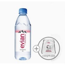 에비앙 생수, 500ml, 20개