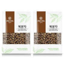 인차 국내산 복분자 열매 600g (300gX2팩), 단품없음