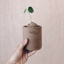 집에 놓기만해도 이쁜 국산 토분, 허니