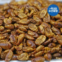 고단백 대용량 업소 도매 냉동번데기 주전부리 4kg 안주 무첨가 생번데기, 냉동번데기 4kg