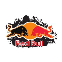 자동차카본시트지 차량카본매트 카본 랩핑지 스티커 테이프 비닐 데칼 트럭 창 범퍼 노트북 벽 헬멧 캠핑카 방수 썬 스크린 패션 레드 나쁜 황소 12cm 8cm, 스타일-01, 25cm