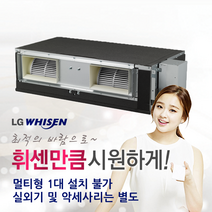 [LG전자] 휘센 천장형 시스템에어컨 매립덕트 RNW0831B2S (23평형) 냉난방기