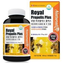 네추럴라이즈 로얄 항산화 프로폴리스 플러스 효능 면역력영양제 원액 리퀴드 건강기능식품