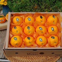 - 7일간반짝할인 - 제주 제철과일 카라향 3kg(13-20수 선물용) 봄을 깨우는 싱그러운 과즙이 팡팡 박스무게포함, 카라향  3kg(고급이중포장선물)