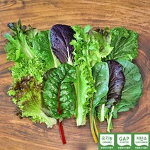 [흙을 만드는 사람들] 친환경 유기농 모듬 쌈채소 샐러드채소 600g 800g 1kg 쌈야채, 모듬 쌈채소1kg