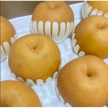 프리미엄 나주 배, 특품, 15kg (26-28과)