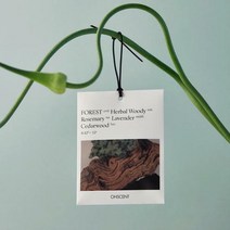 오센트 퍼퓸샤쉐 6종, 퍼퓸샤쉐 우드랜드