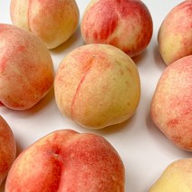 [와이제이] 납작복숭아 2kg 대극천, 상세페이지 참조, 상세페이지 참조