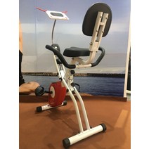 자전거 실내 헬스 편한 등받이 다이어트 박은석 홍현희 송중기 거치대 책상밑 타기 무소음 스핀바이크 의료용 근력운동 서서타, A, 단일사이즈