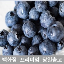 과일 (특등급) 오늘출고 생블루베리1KG 블루베리 요즘과일 [WBB6170], 쿠팡 1KG, 쿠팡 본상품선택