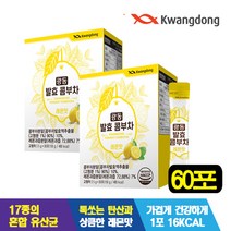 광동생활건강 광동 발효 콤부차 2박스(박스당5g x 30포)