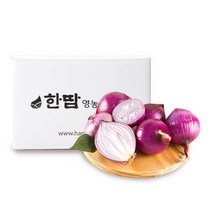 2022무안자색양파 자색 햇양파 소 3kg