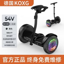 전동휠 54v 투휠전동보드 얼리어답터 취미생활, (전동/휠/보드/블랙/레인보우/휠)