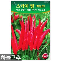 서리태 씨앗 30g - 콩 씨 청약콩 검은콩 쥐눈이콩 서리태씨앗 콩 검정콩씨앗 검은콩씨앗 콩씨앗 서리태씨 검은콩씨 주말농장 텃밭, 06_스카이씽하늘고추(50립)