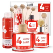 허브타임 라비에 레드프룻 디퓨저 차량용 방향제 기획전, 라비에 기프트 세트 (50ml+50ml) 11.블루베리