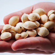 전북 순창 강천골 깐 은행 피 은행 토종은행 500g 1kg, 깐은행 중 500g, 1개