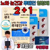 홈쇼핑 루테인 어린이눈영양제 눈 건강 안구 황반 이물감 안압 비타민 A