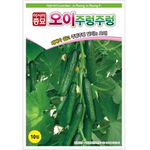 오이씨앗종자 주렁주렁 오이(10립), 1개