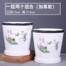 틀밭 대형화분도매 상추수경재배 키큰화분 난화분 콩분 플분 행인화분 삽목상자 슬릿분 화분 세라믹 특별 정리 새로운 난초 냄비 트레이 대형 발코니 거실 녹색 무 즙이 많은 화분, 6009088 두 개의 큰, 세트