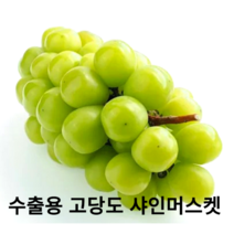 국내산 프리미엄 샤인머스켓 1.5kg 2kg 수출용 망고포도 꿀포도 보장된 고당도 최상품 포도 제철과일 청포도, 1등급 수출용 1kg(1~2송이)