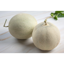 메론 국내산 프리미엄 멜론 허니듀 칸달로프 머스크멜론, 10kg