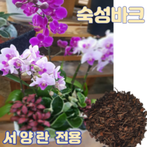 숙성바크8L 중립 서양란 화분갈이전용 소나무껍질바크 아로니아 블루베리전용 원예 조경용 파충류바닥재