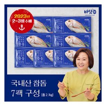 [바닷가] 국내산 반건조 참돔 300g x 7미, 7개