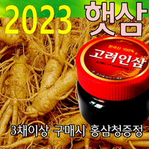 금산인삼아줌마 인삼 (0호)콩난발삼 750g 산지에서 발송 가정용 수삼, 1개, 콩난발(0호) 750g