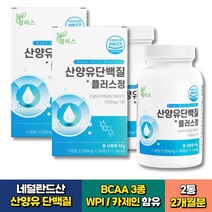 노인 시니어 산양유 단백질 네덜란드산 퀄리고트 추천 30정x2통 2개월분 남자 여자 임산부 어르신 식약처인증 네덜란드산 WPI 카제인 함유 프로틴 아침 보중체