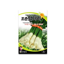 모칸도 세계종묘 조춘알타리 30g