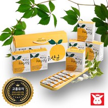 유자유산균 농협 특산유자로만든 식물성 비타민C 특허유산균 1000배 2g×120포 180포, 6상자(180포)