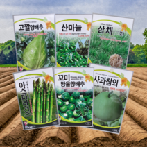 흰무늬 엉겅퀴 밀크씨슬 삼채 씨앗 종자, 흰무늬엉겅퀴(밀크씨슬)