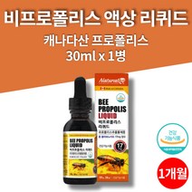 코스트코 아기 수용성 프로폴리스 스포이드 액 액체 리퀴드 bee propolis liquid 중학생 고등학생 대학생 영양제 30ml 1통