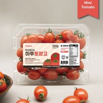 스테비아 방울토마토 꿀토망고 단토마토 신선당일 산지직송 500g