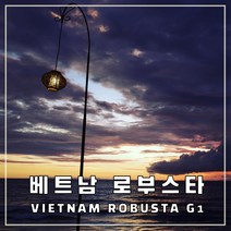 (커피생두) 63 베트남 로부스타 G1 5kg