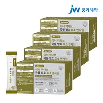 [JW중외제약] 이너 액티브 곡물 발효 효소 엔자임 4박스 (120포), 단일속성