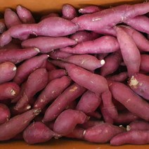 베니하루카 고구마 꿀고구마 밤고구마 한입고구마 10kg(간식용)