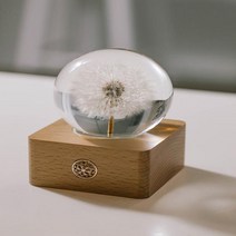 민들레 무드등 홀씨 수정구슬 LED 수면등 램프 취침등, 10. 주광색 리모컨 블루투스 스피커 대형